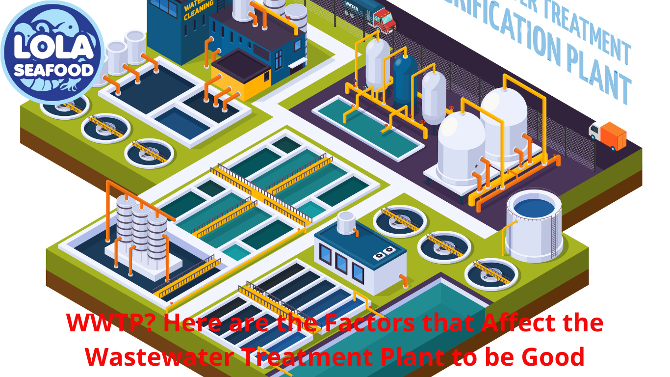 WWTP? Here are the Factors that Affect the Wastewater Treatment Plant to be Good